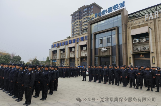 獵鷹保安|護航“夢之藍M6+襄陽群星演唱會”