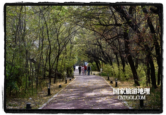 扎蘭屯市五彩繽紛賞秋色“游人如織”(圖)